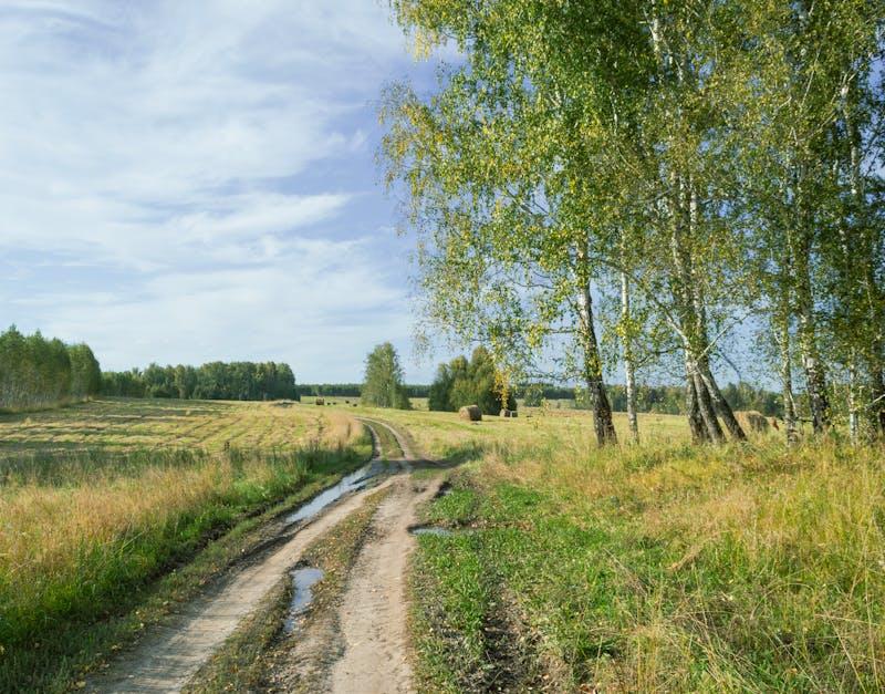 sustainable sourcing