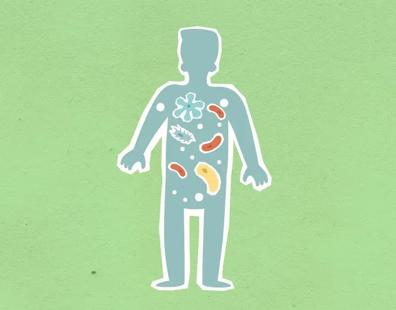 probiotics supplements