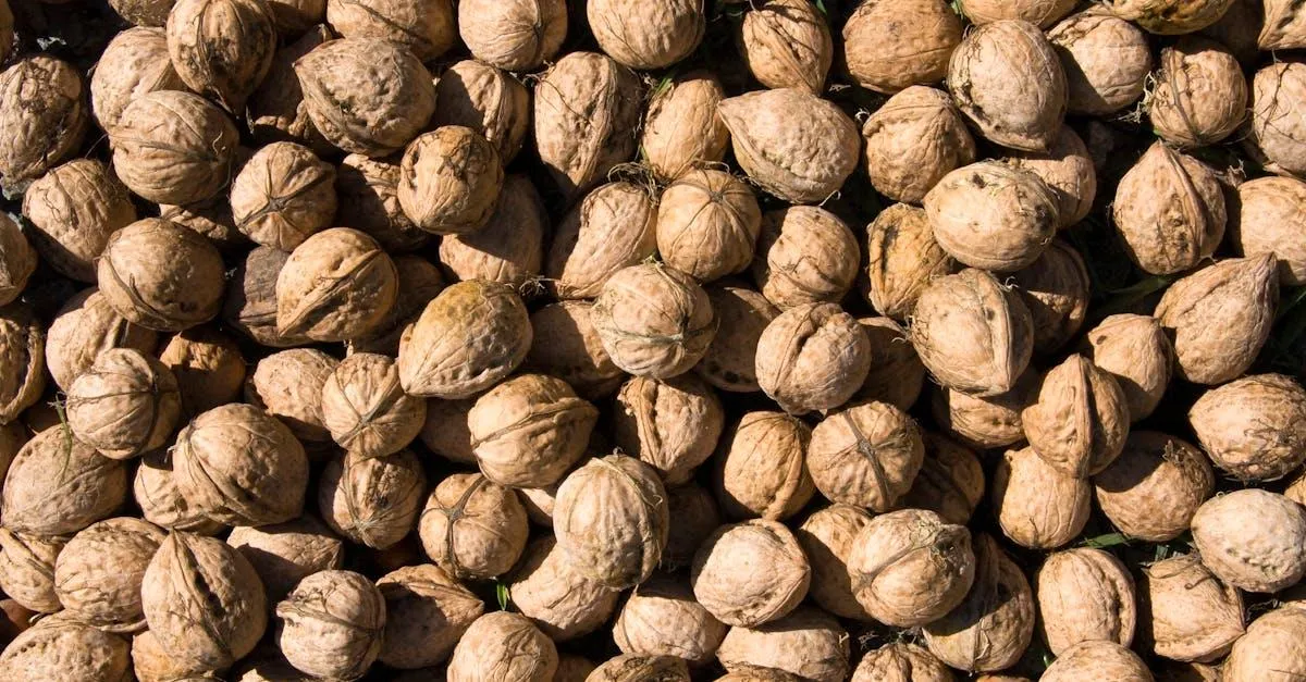 health and supplements