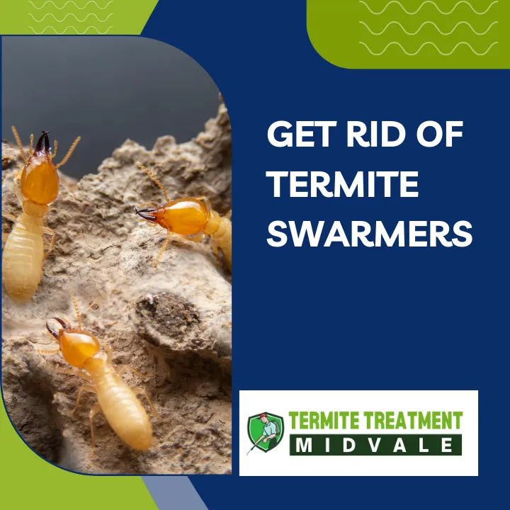 termite-swarmers-vs-carpenter-ant-swarmers