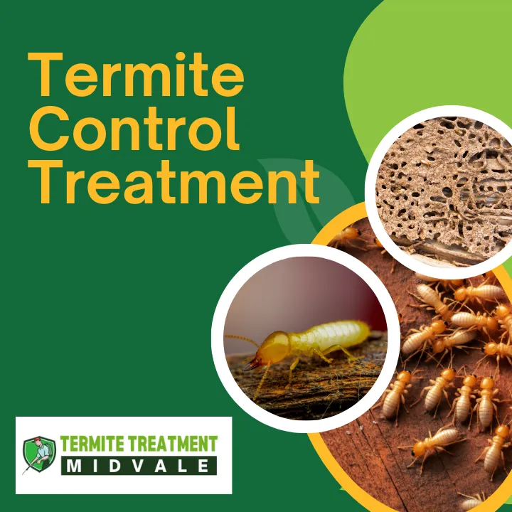 termite-control-treatment-guide