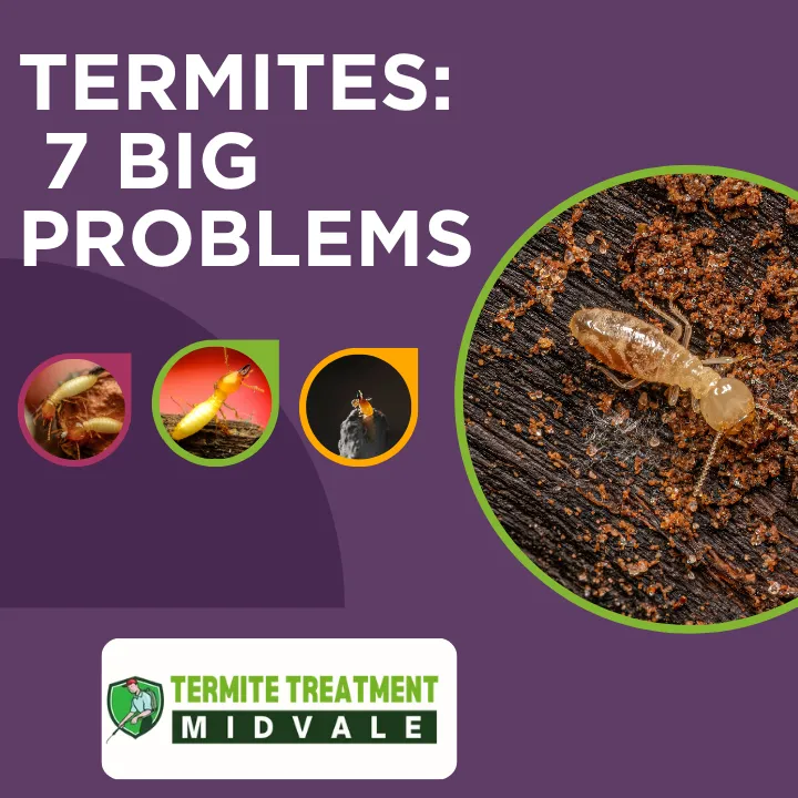 Reasons why termites are harmful and unwanted in homes and buildings.