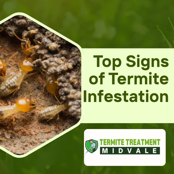 Difference between drywood termites and subterranean termites.