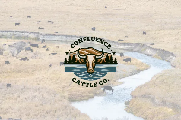 logo cover