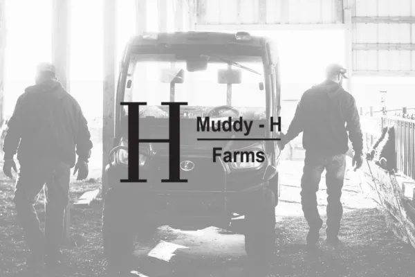 muddy h