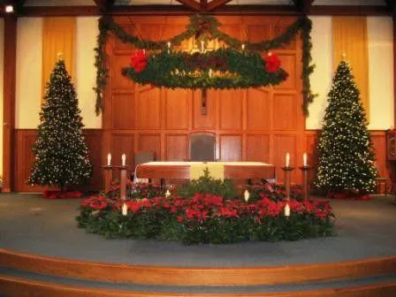 Vibrant sanctuary Christmas poinsettia setup creating a breathtaking red-and-green display that symbolizes love, peace, and celebration.