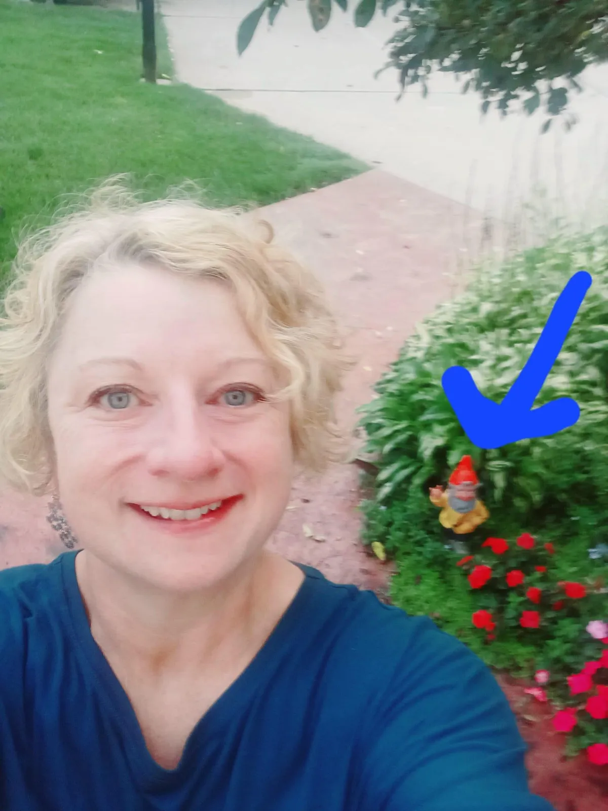 Test - Can You See What I See?