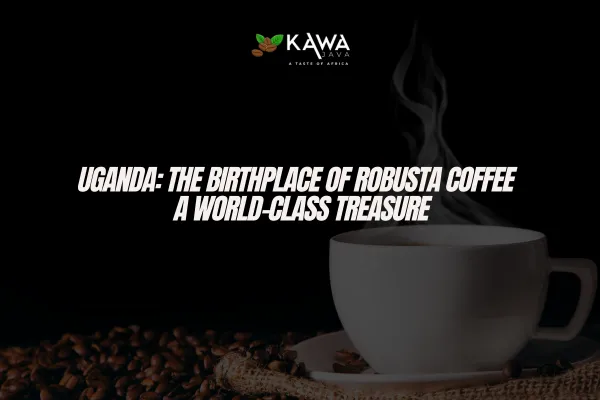 Ugandan Robusta Coffee, Mpologoma Coffee, Birthplace of Robusta, Sustainable Coffee Farming, Bold Coffee Flavor, Coffee Culture in Uganda, High-Altitude Coffee, Volcanic Soil Coffee, Coffee Traditions in Africa, Ugandan Coffee Export, Espresso Coffee Beans, Frothy Coffee Properties, African Coffee Heritage, Specialty Coffee Beans, Uganda Coffee Economy