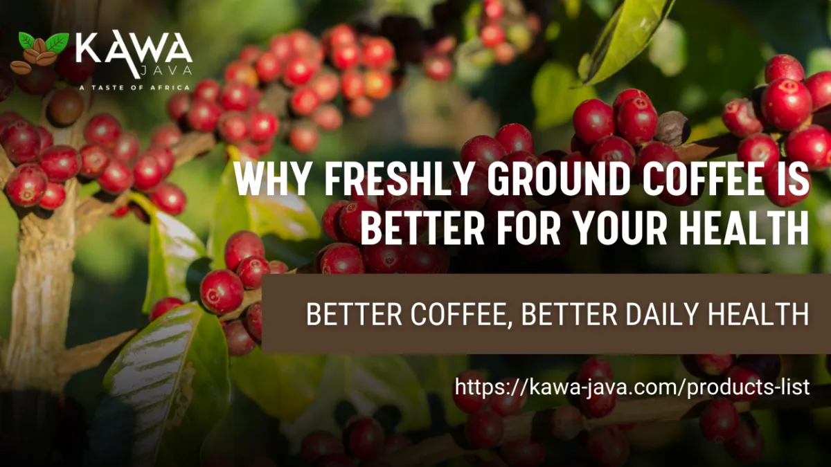 freshly ground coffee, health benefits of grinding coffee, antioxidants in coffee, coffee for immune health, why grind coffee, coffee and digestion, fresh coffee vs pre-ground, kawa java, clean coffee, natural energy from coffee, coffee and gut health, healthy coffee habits