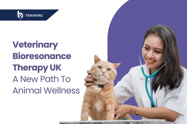 Veterinary Bioresonance Therapy UK for Effective Organ Care
