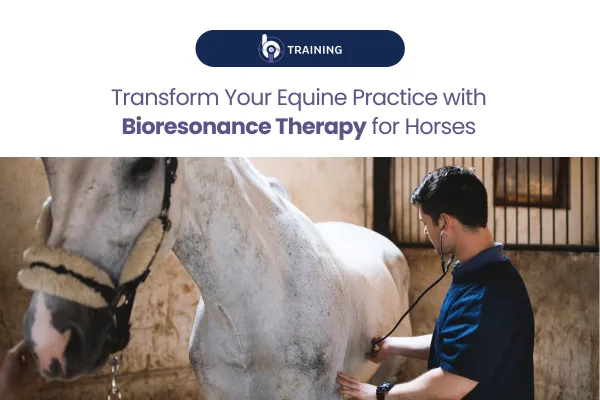 Professional Bioresonance Therapy for Horses
