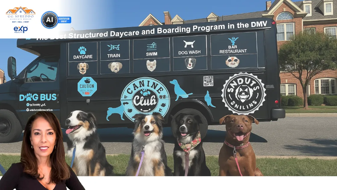 GG Sfreddo is pictured in front of the Snouts & Stouts "Dog Bus" alongside four happy dogs, promoting a structured daycare and boarding program in the DMV area that includes training, swimming, grooming, and even a dog-friendly bar.