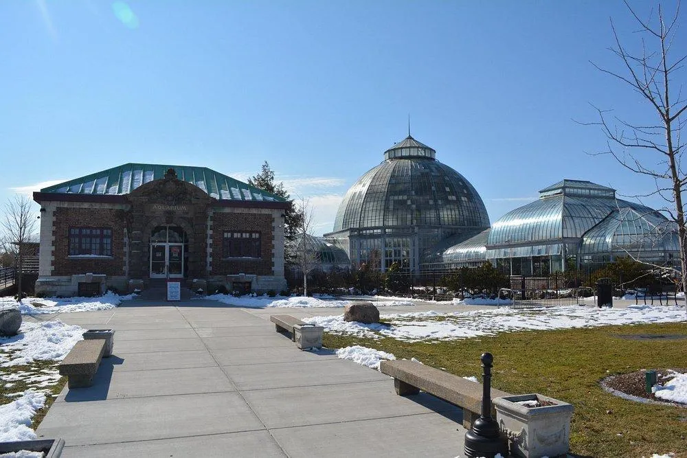 The Aquarium That Time Didn’t Forget: Belle Isle’s Aquatic Wonderland