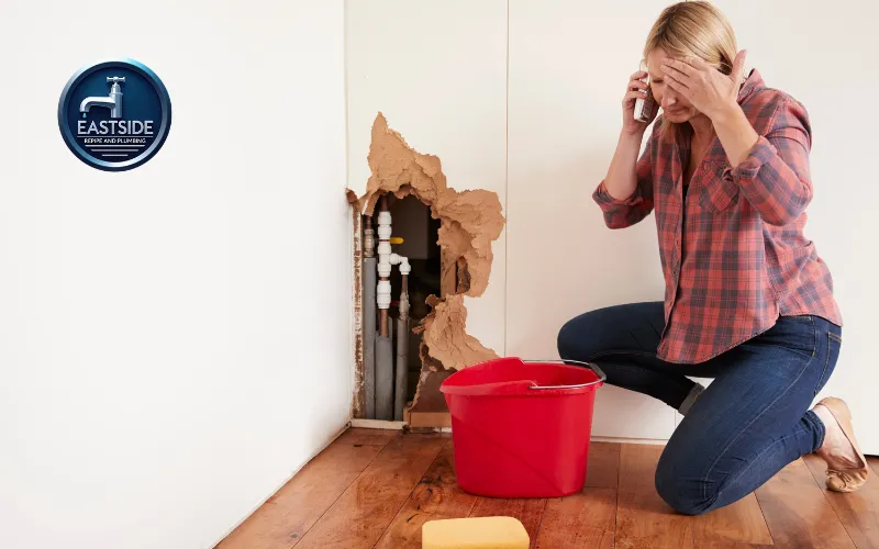 pipe bursting near me