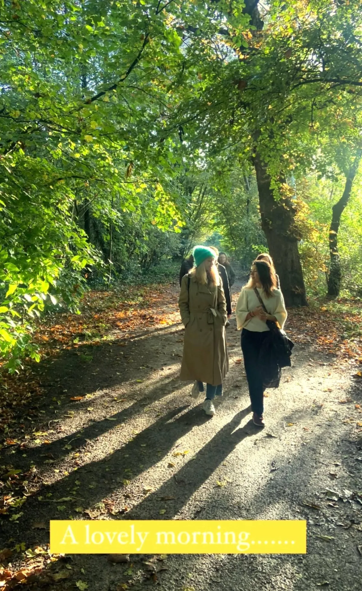 Two women walking along a sunlit path in a green, leafy forest during autumn, with fallen leaves scattered on the ground.
