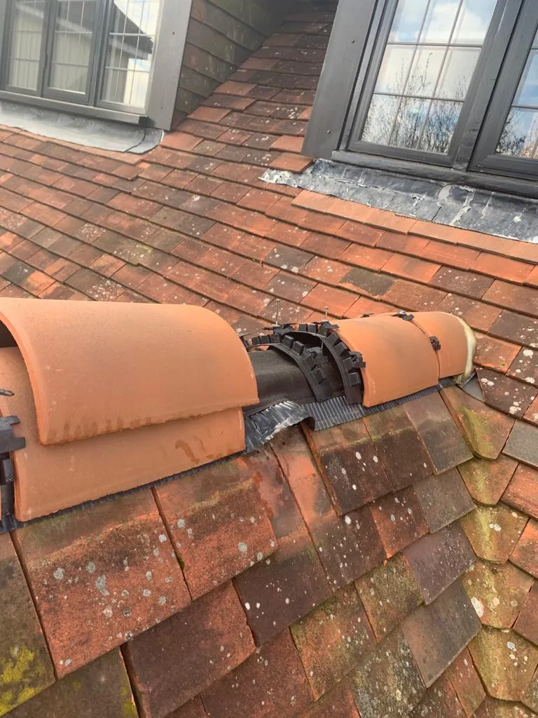 Essential Roof Repair Tips for Homeowners in Belfast: Keep Your Roof in Top Shape