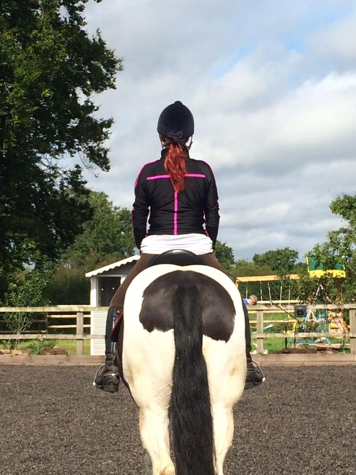 Straightness in the horse