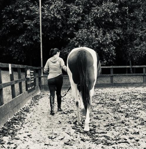 Why Your Horse Still Feels “Off” After Time Off – It’s Not Just You