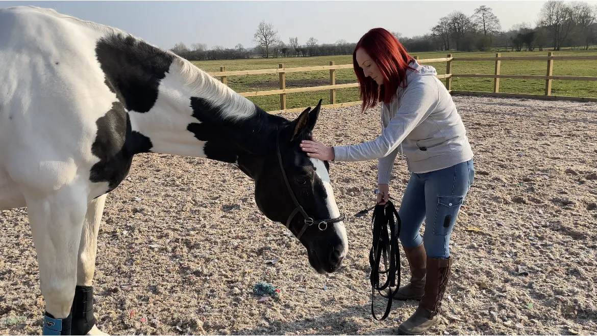 Building Equine Connection Through Mindset