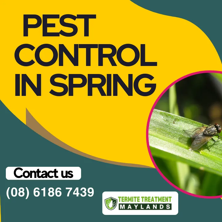 protect-your-home-spring-pests