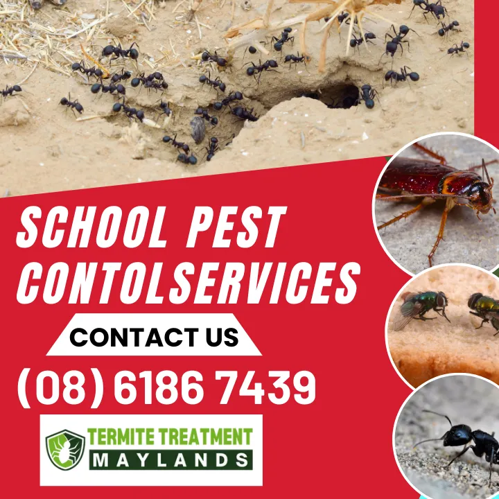 afe-pest-control-schools