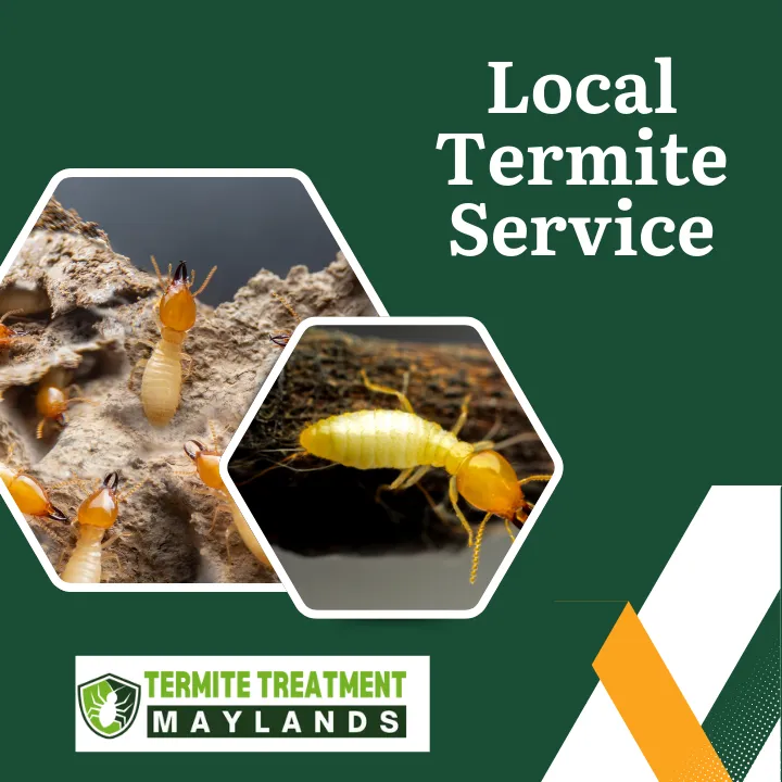 local-termite-treatment-service