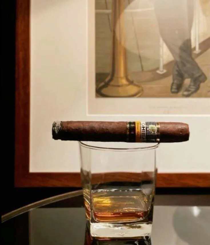 Trends to Watch in Cigar Packaging and Design