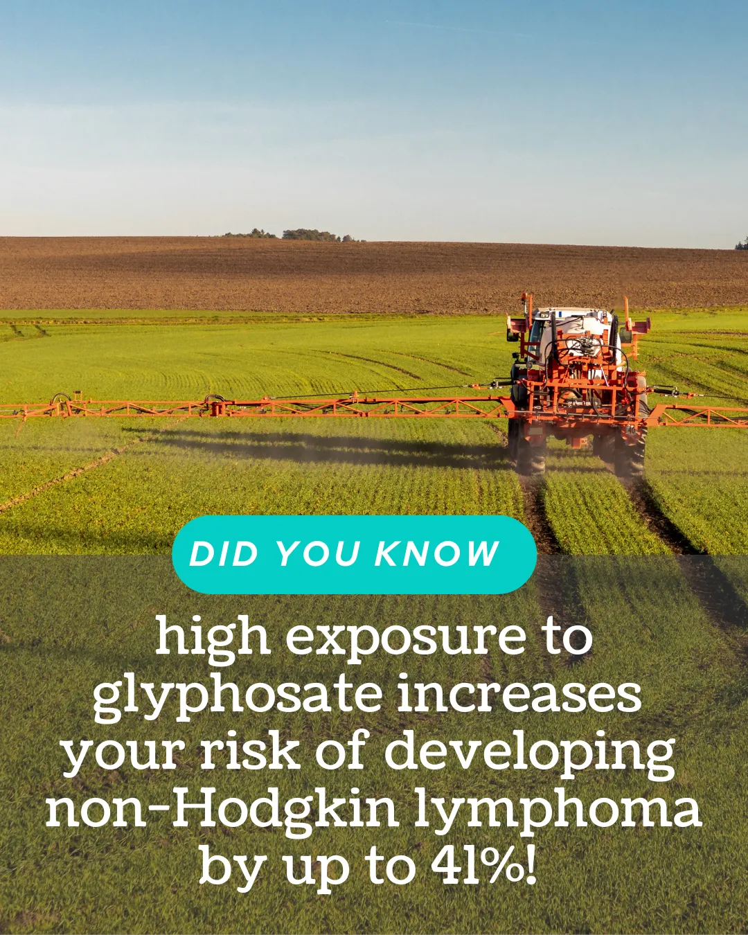 Glyphosate spraying on crops highlighting herbicide use and health concerns