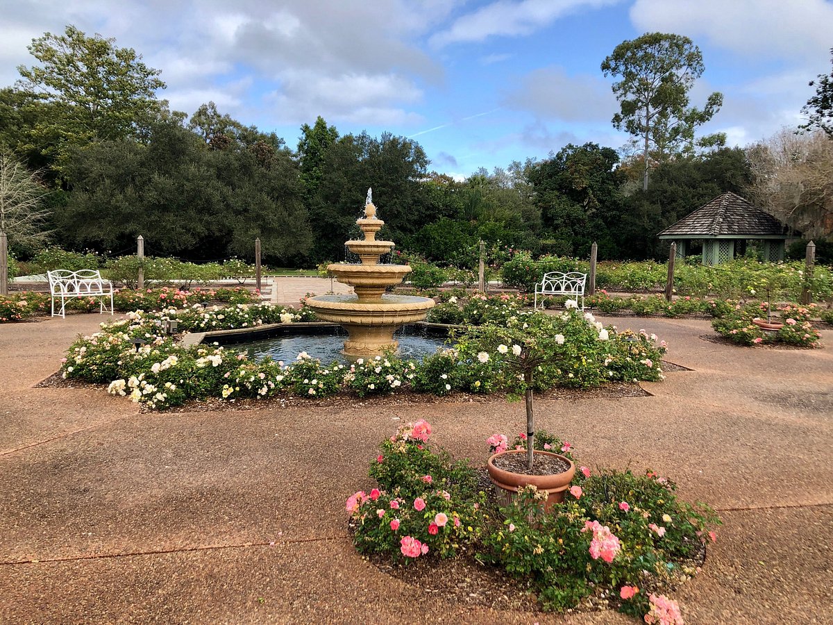 Escape Into Pure Beauty at Harry P. Leu Gardens — Orlando’s Secret Garden Paradise (Tiara Luxe Rent-a-Car & Chauffeur Services, Orlando, FL)