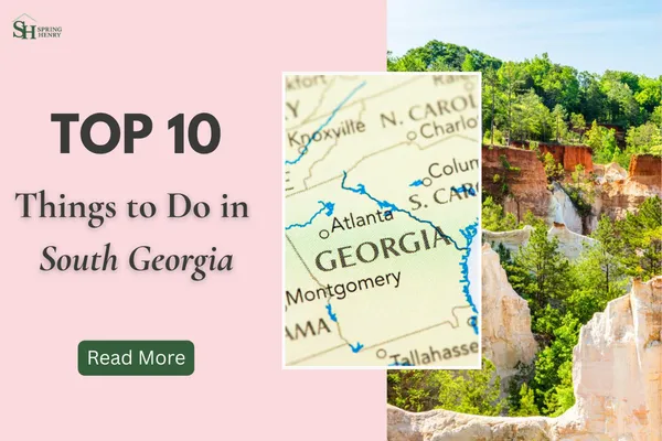 Top 10 Things to Do in South Georgia