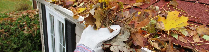 Find Mom Help for Home Maintenance with 5 Easy Steps