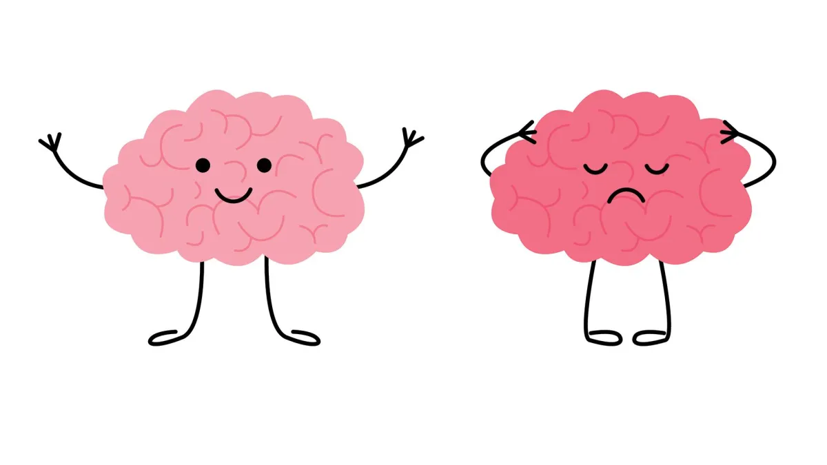 The Brain