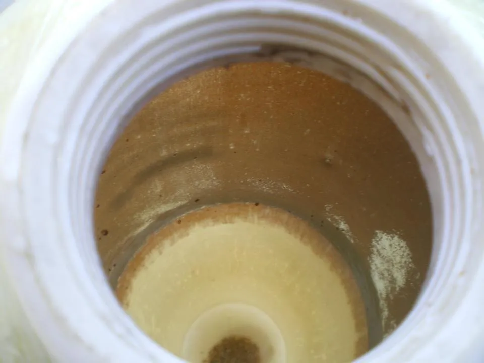 Biofilm