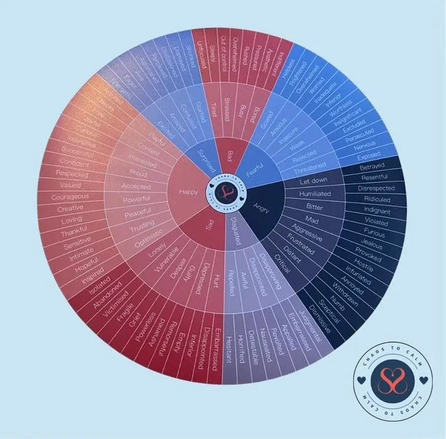 The Tool No One Told Me About: The Feelings Wheel