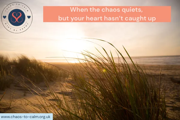 Coming Out of Crisis: The Week After the Storm