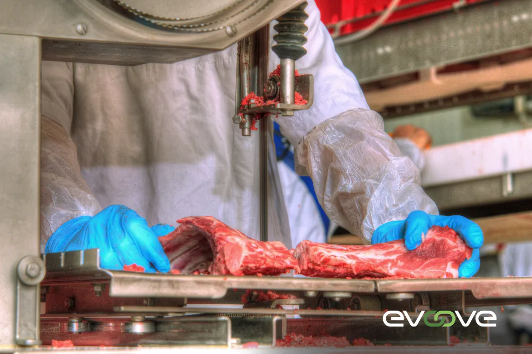 customized food processing staffing solutions in south bay