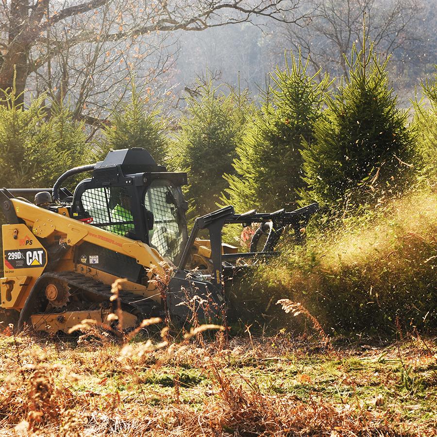 The Hidden Costs of Forestry Mulching Near Wake County | Absolute Septic LLC