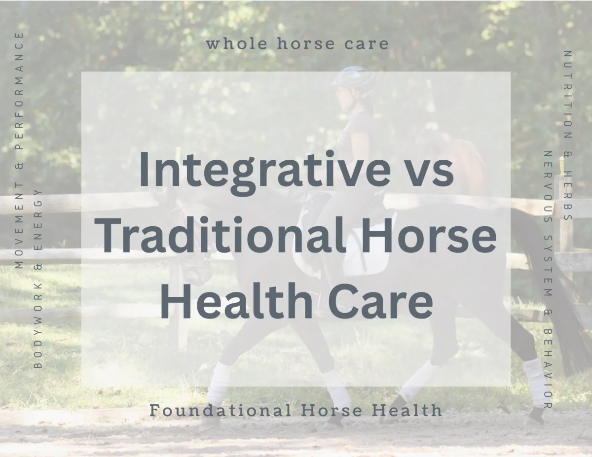 Why "Either Or" Thinking Fails Horses