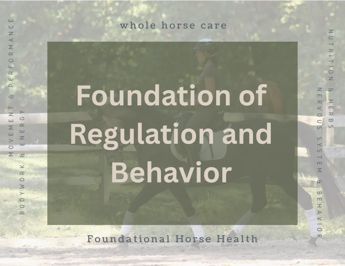 Can Reward-Based Training Create Addictive Patterns in Horses?