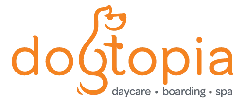 Dogtopia Named Top Brand to Buy by Franchise Times