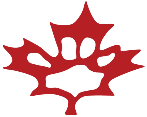 2023's top 23 in Canada