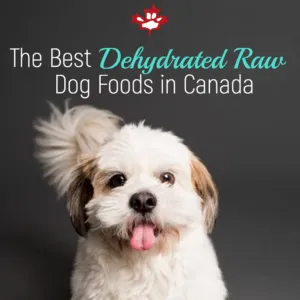 The Best Dehydrated Raw Dog Foods of 2023