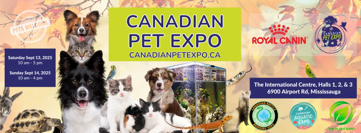 From Trade Floor to Show Floor: Why Connect Exhibitors Should Expand into Consumer Shows