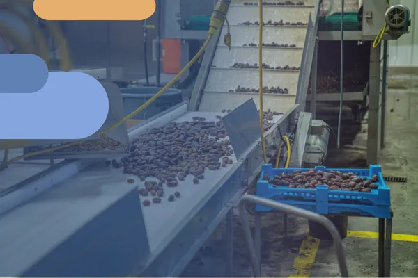 importar repuestos maquinaria industria alimentaria