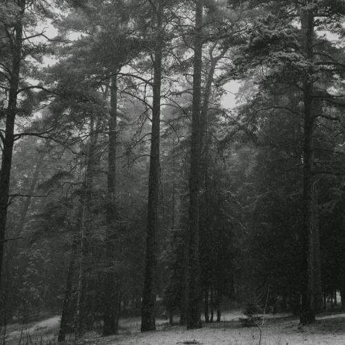 The Biggest Reason For Seasonal Depression