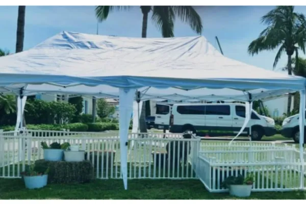 Why Mobile Exotic Animal Shows Are Perfect for Large-Scale Events