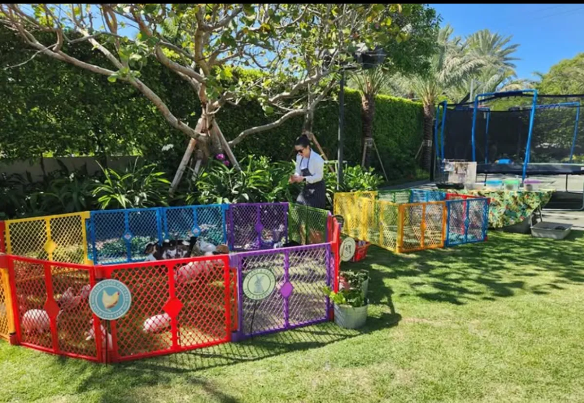 exotic animals at a resort