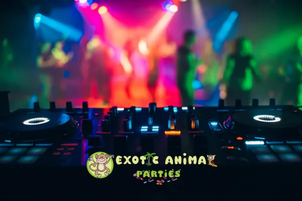 Electronic Dance Music Events with Vibrant Animal Entertainment