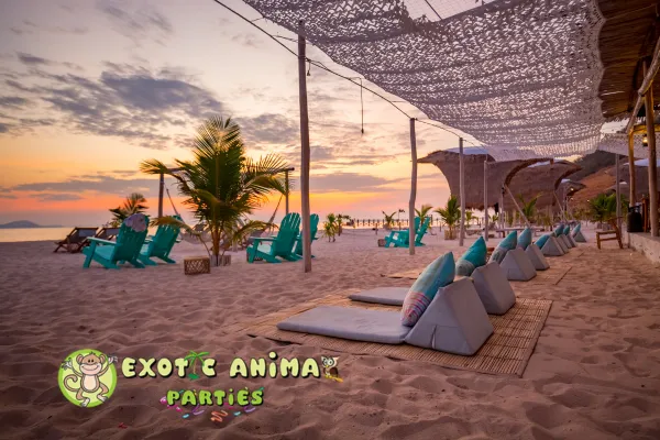 Beach Club and Coastal Entertainment Events That Capture Paradise