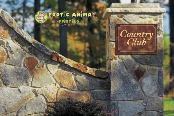 Exclusive Private Club Entertainment That Defines Luxury